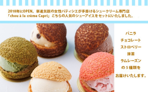シューアイス GIFT BOX 6個セット　シュークリーム チョコ バニラ アイス お菓子 個包装 おやつ デザート スイーツ かわいい スウィーツ 洋菓子 小分け 一人暮らし 大人気 お取り寄せグル
