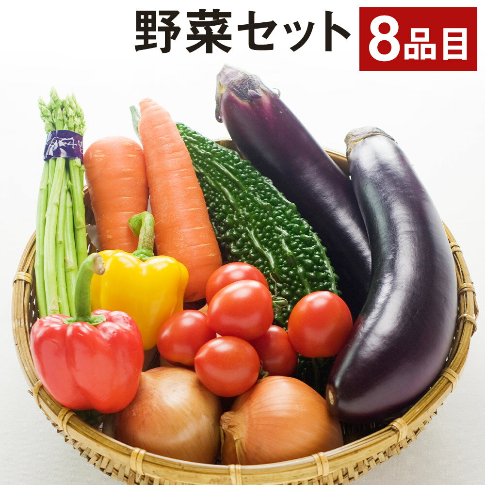 【ふるさと納税】野菜セット 8品【養生市場】 詰め合わせ セット 品種おまかせ ランダム 野菜 旬の野菜 九州産 熊本県産 送料無料《90日以内に出荷予定(土日祝除く)》