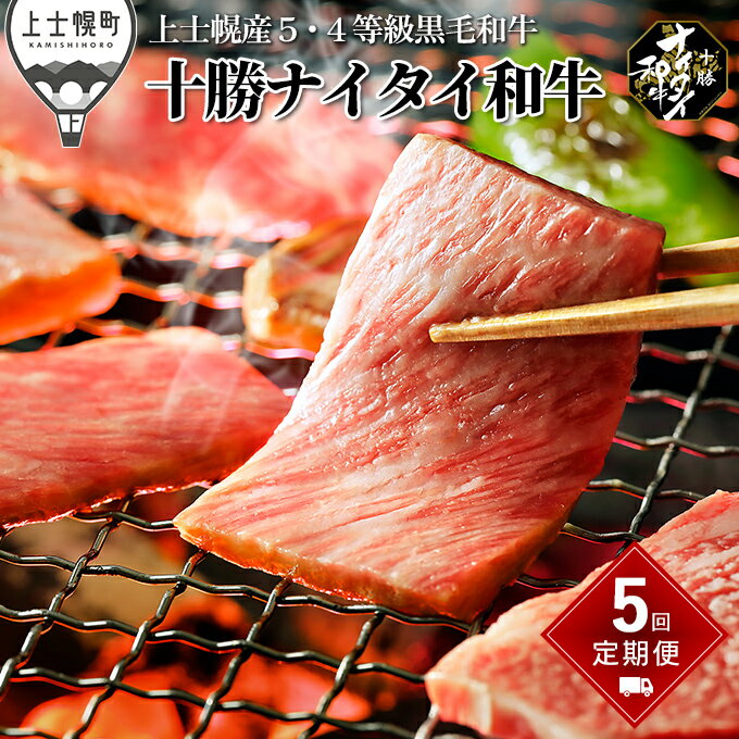 【ふるさと納税】十勝ナイタイ和牛 特選定期便 5ヵ月コース 計5回 北海道産 牛肉 5・4等級黒毛和牛 オレイン酸含有率55%以上 サーロイン ヒレ フィレ ステーキ 肩ロース リブロース 焼肉用 すき焼き用 レビューキャンペーン対象品 ※オンライン申請対応