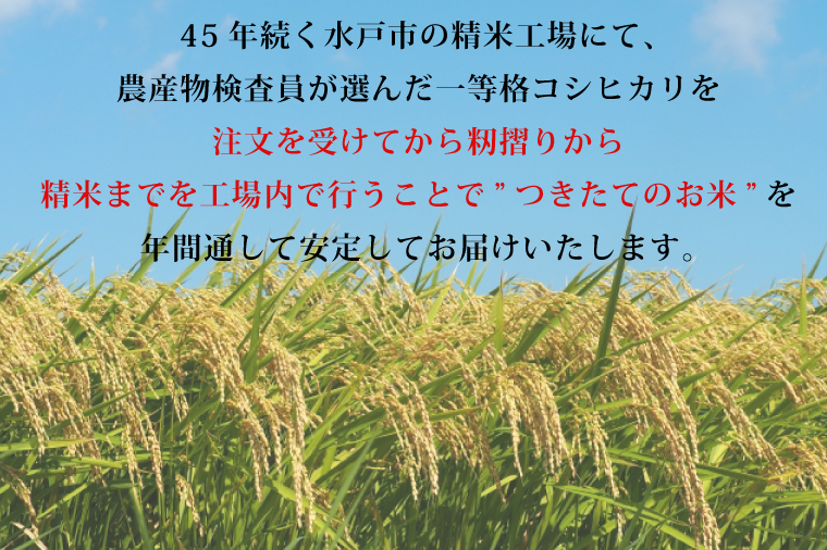 【3ヶ月定期便】【令和7年産】茨城県産コシヒカリ 宝蔵米 10kg×3回【お米 米 菊池 こしひかり つきたてのお米 食味ランキング特A評価 茨城県 水戸市】(CZ-903)