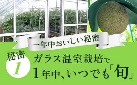 【奇数月定期便】クラウンメロン【並(白等級)】中玉(1.3kg前後)1玉入り