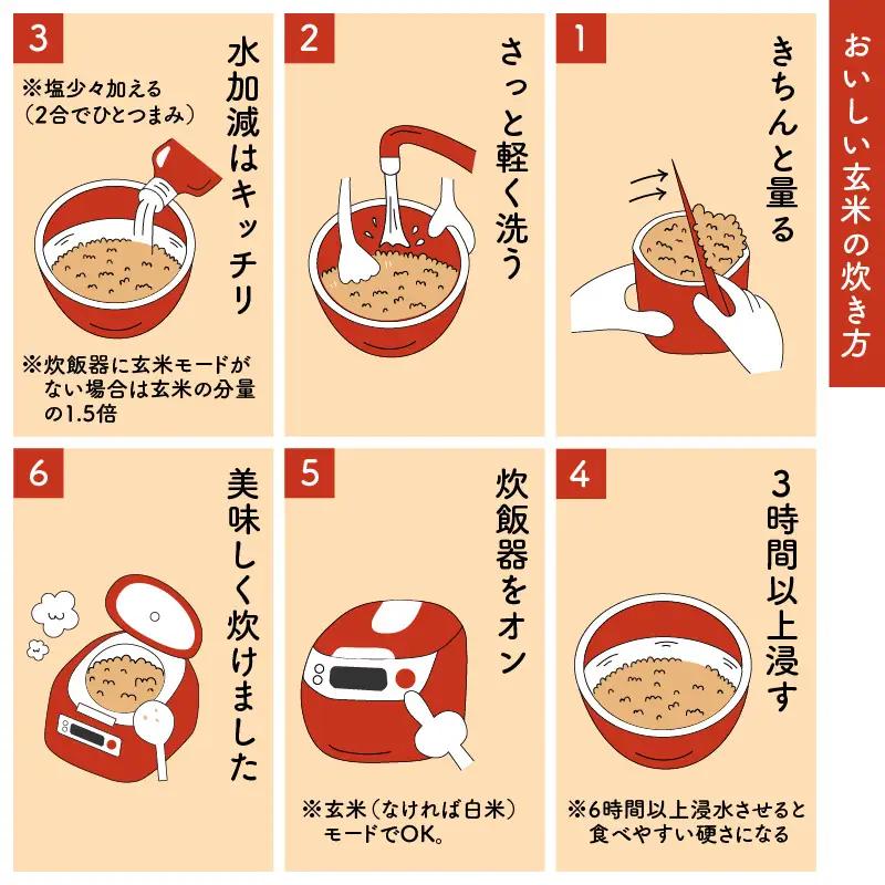 令和8年度産 コシヒカリ 5kg 玄米 特別栽培米 コシヒカリ  