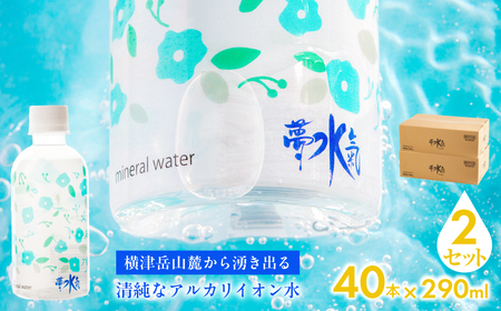 ミネラルウォーター夢水氣（290ml×40本）2セット 天然アルカリイオン水 NABI004