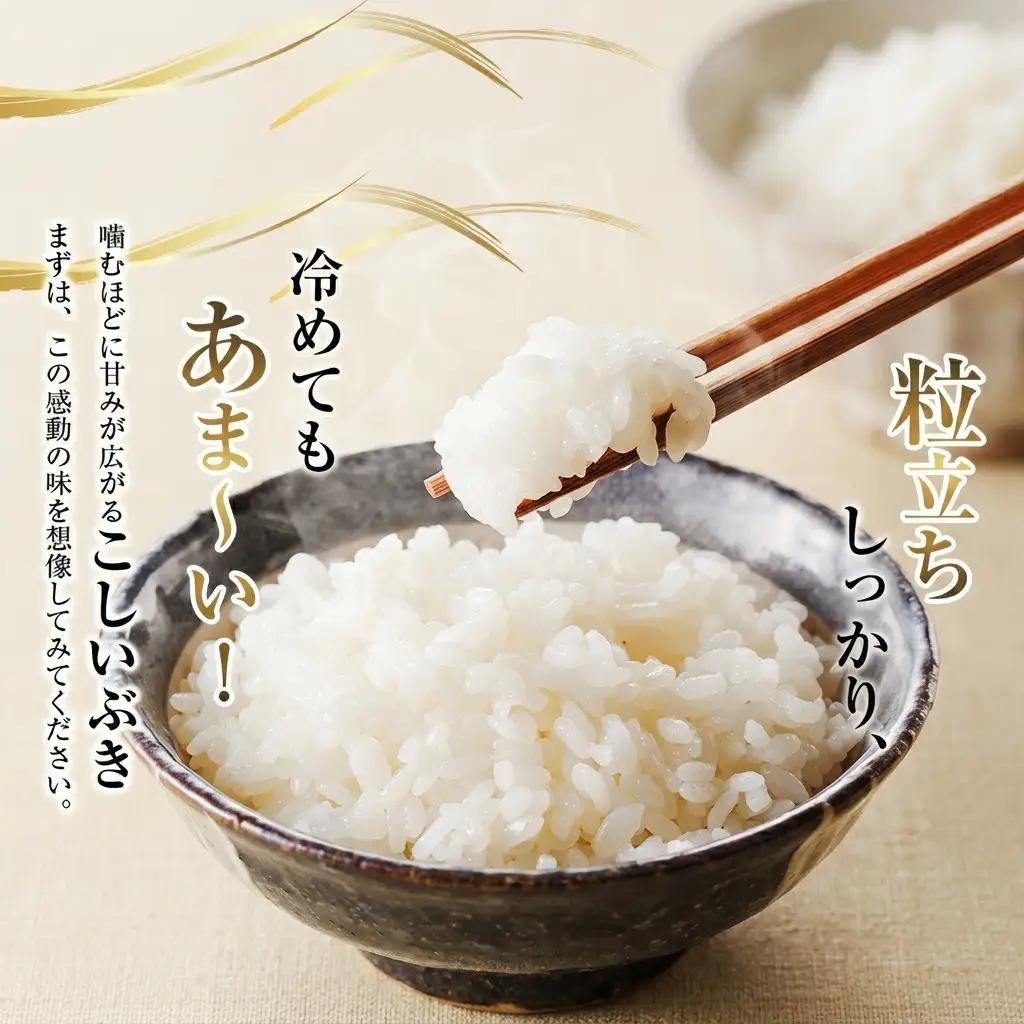 【未来の農業者を応援】高田農業高校の生徒が育てた「高農米」 令和7年産 特別栽培米 こしいぶき 5kg 5キロ 新潟県産 上越市
