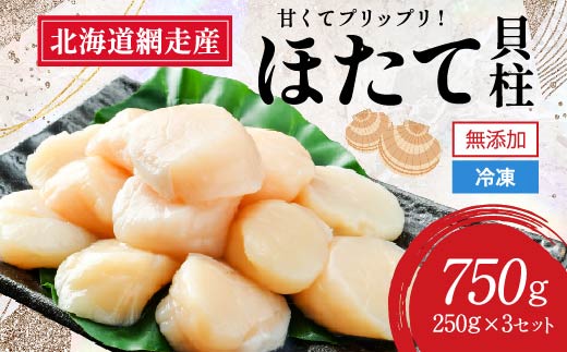 【2026年新物先行予約】網走前浜産 無添加ホタテ貝柱【 750g (250g×3) 】（2026年6月15日より順次発送） ABAI032