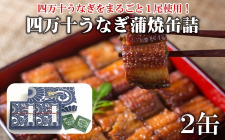 四万十うなぎ 缶詰 蒲焼 2缶セット 山椒付き 缶詰 ［1421］