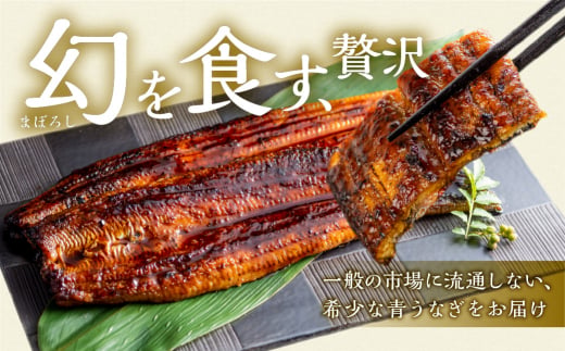 厳選 幻の青うなぎ 4尾 蒲焼 600g  | 食感・風味全てに自信のある最高のうなぎ