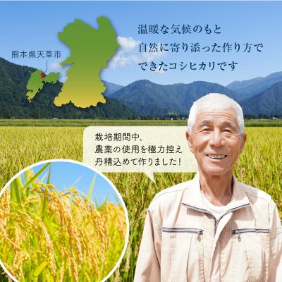 ふるさと納税 天草市 【令和7年産】新米コシヒカリ 玄米 5kg_S050-008A |  | 03