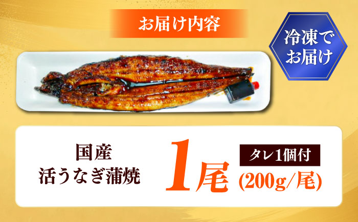 うなぎの美味しさはタレで決まる！自慢の味・国産活うなぎ蒲焼（1本入） | うなぎ タレ 蒲焼 国産 美味しい 島根県雲南市/有限会社石田魚店 [AICQ002]
