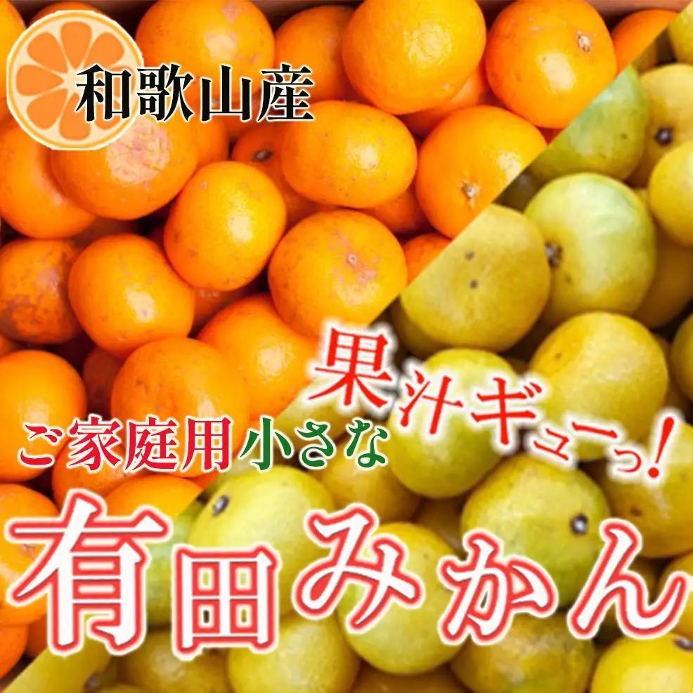 ［先行予約］家庭用 小さな有田みかん5kg+250g（傷み補償分）［2026年10月初旬から2027年1月末日頃順次発送予定］［IKE245］