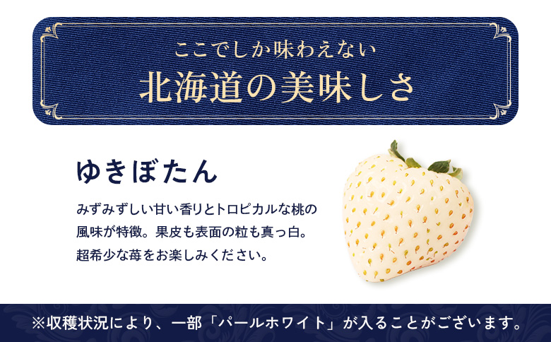 【北海道産】ゆきいちご（白いちご） 2Pセット 250g×2 計500g【59001】