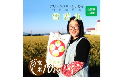 【令和7年産・玄米】グリーンファーム小野寺の特別栽培米雪若丸10kg