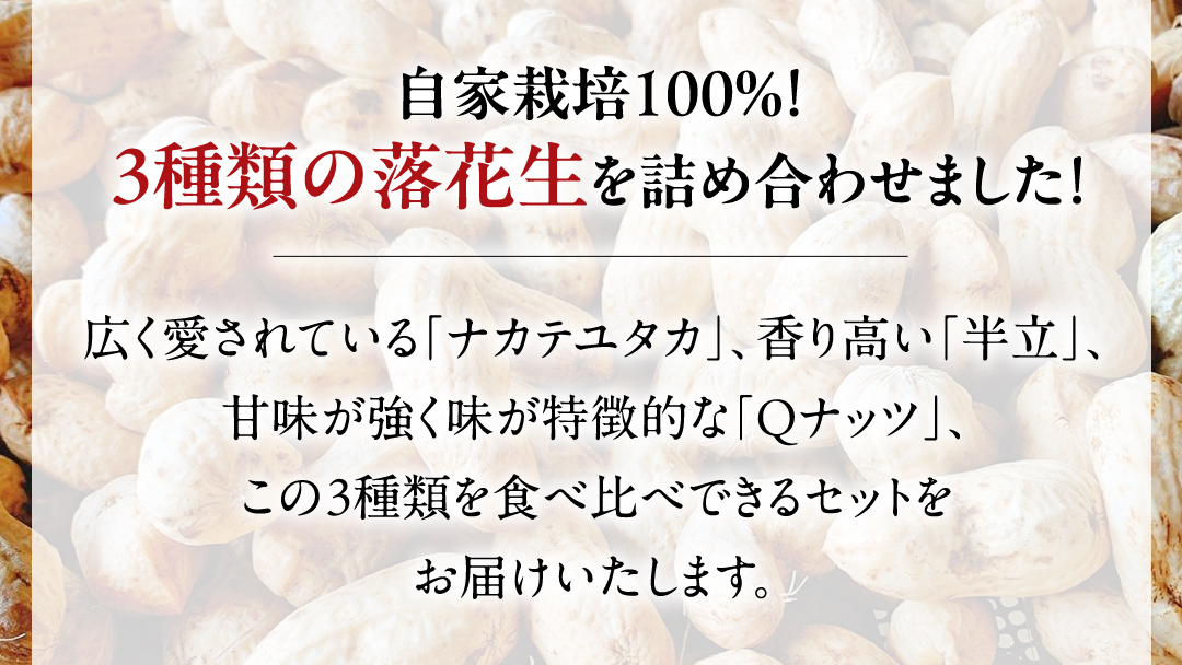 牛久市産 落花生 3種食べ比べ3袋セット Qナッツ Qなっつ 半立 はんだち ナカテユタカ 中手豊 ピーナッツ ピーナツ 食べ比べ おやつ おつまみ お菓子 お取り寄せ 詰め合わせ