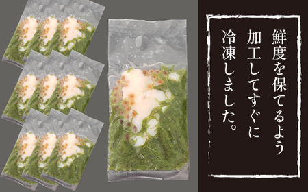 簡単 流水解凍 海鮮丼の具！ ぶっかけ海鮮 10人前 【十六家】 刺身 刺し身 さしみ 生食 生食用 海鮮 海鮮丼 めかぶ メカブ 海老 えび エビ 烏賊 いか イカ 帆立 ほたて ホタテ いくら イ