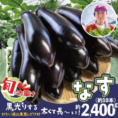 ふるさと納税 大館市 ナス 黒光りする太くて長い! 約2400g
