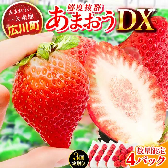 【3回定期便】いちご（あまおう）2ケース / いちご 苺 イチゴ[AFAB081]