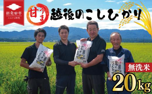 先行予約 こしひかり 無洗米 20kg 令和7年産 新米 甘うま越後の コシヒカリ 米 お米 こめ 新潟米 新潟県産 新潟産 新潟 新潟県 新発田産 新発田 新発田市 斗伸 toushin033