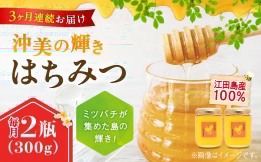【全3回定期便】江田島産100％ はちみつ 『沖美の輝き』300g×2本 ハチミツ ハニー 蜂蜜 国産 広島 江田島市/はつはな果蜂園 [XCD024] ハチミツ 国産蜂蜜 国産はちみつ 国産純粋はちみつ 蜜 蜂蜜 はちみつ ハニー honey 人気ハチミツ 日本蜜蜂 純粋はちみつ 常温 保存 備蓄 防災食 非常食 保存食 産地直送 国産 定期便