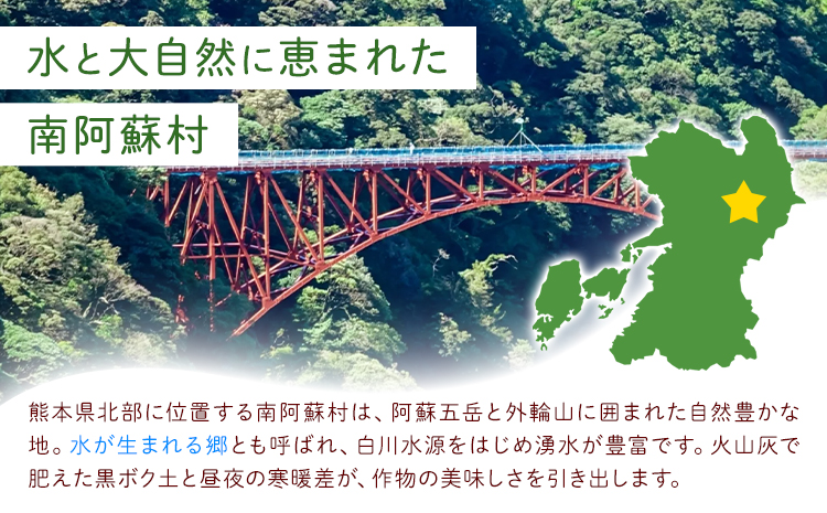有機JAS認定 オーガニック さつまいも 10kg 農園ベルの樹《12月上旬-3月下旬頃出荷》熊本県 南阿蘇村 さつまいも オーガニック 有機栽培 薩摩芋---sms_blkost_ak123_r7_