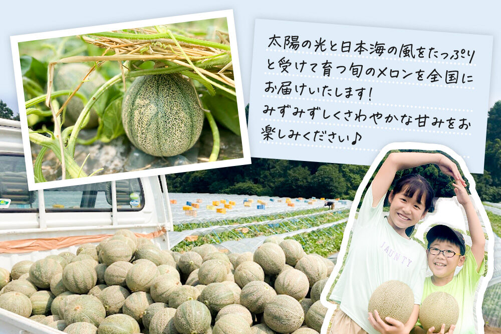 R8年度産 先行受付 メロン3L（1.3キロ前後）×2玉（アムス）秋田県 男鹿市