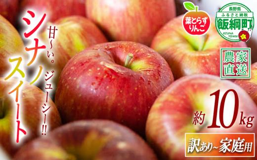 りんご 葉とらず シナノスイート 家庭用 〜 訳あり 10kg フレッシュフルーツミカズキ 2026年10月中旬頃から2026年10月下旬頃まで順次発送予定 令和8年度収穫分 傷 不揃い リンゴ 林檎 果物 フルーツ 信州 長野 予約 農家直送 長野県 飯綱町 [1652]