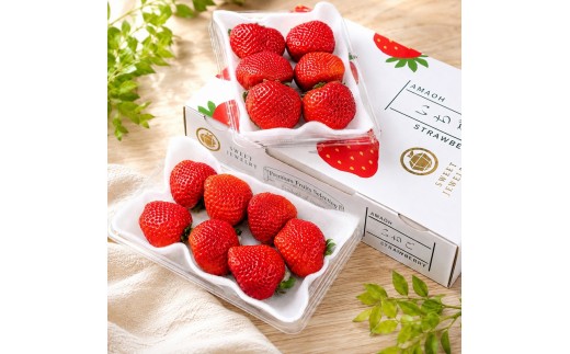 あまおう イチゴ 2パック（1パック約250g) 化粧箱