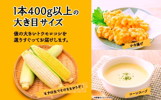 とうもろこし イエロー ＆ ホワイト 2種 食べ比べ 恵味ゴールド 白い恵味 400g以上 各6本 計12本 野菜 おやつ 旬 産地直送 送料無料 湖南野菜出荷組合 山梨県 富士河口湖町 FEM009