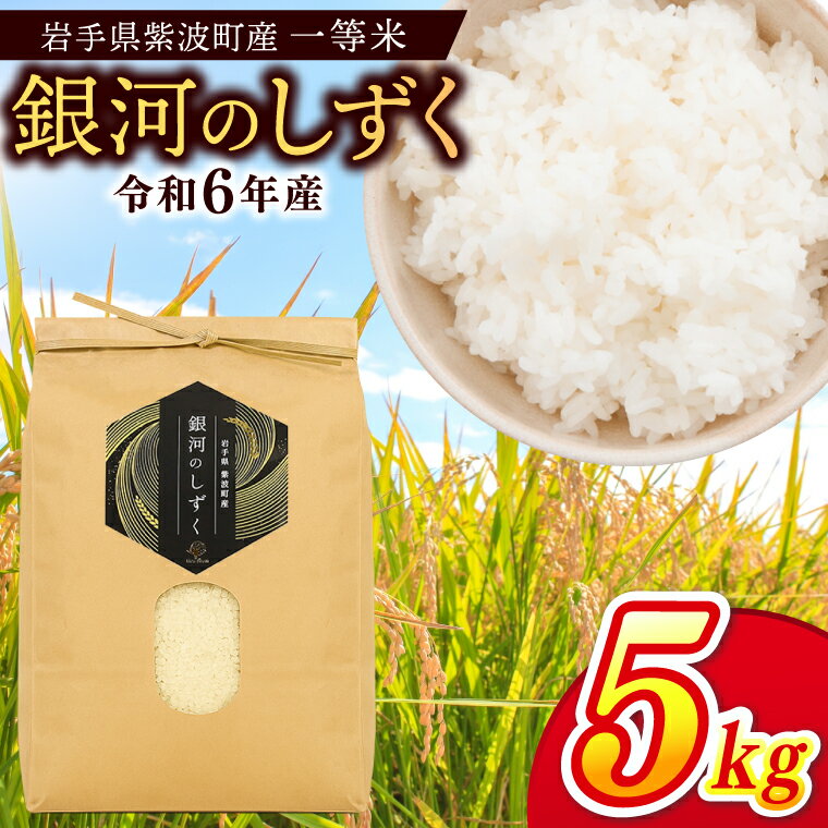 【ふるさと納税】 ＼数量限定／ 令和6年産 銀河のしずく 精米 5kg 米 お米 コメ 精米 白米 岩手県紫波町 (EN001)