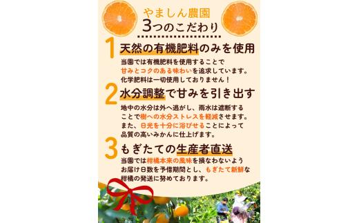 有田 みかん 訳あり 2kg 光センサー 選別 / 温州みかん 有田みかん 甘い 家庭用 和歌山 柑橘 ※11月順次発送 ※沖縄・離島への配送不可【nuk004-c-2-novA】