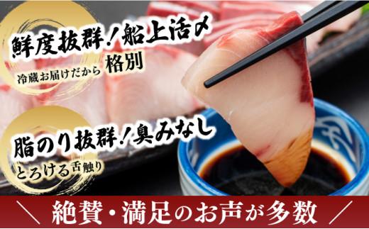 KU281<2025年10月発送分>活じめ!黒瀬ぶりの生鮮ブリロイン2節(1.0kg前後)