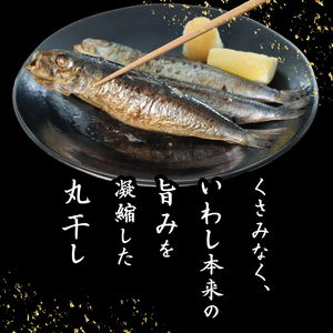 いわしの丸干し  約 3kg   イワシ