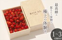 【ふるさと納税】＜先行予約2025年＞南アルプス市産さくらんぼ L,2Lサイズ BOX 250g 〈出荷時期:2025年5月20〜2025年6月20日〉【 フルーツ 山梨県 南アルプス市 】