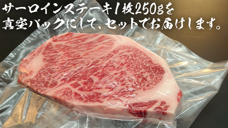 【 常陸牛 】 A5 等級 サーロインステーキ 750g (250g×3枚) あらぎり わさび 付 (茨城県共通返礼品) 牛肉 国産
