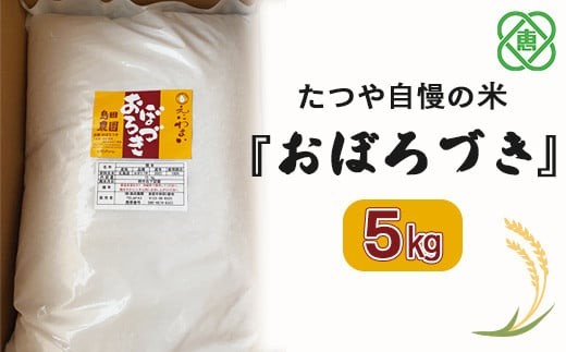 
            令和7年度産【北海道産】たつや自慢の米『おぼろづき』5kg【35001502】
          