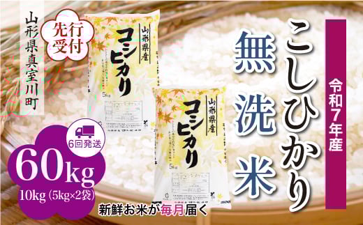 
            ＜令和7年産米先行受付＞ 真室川町産 こしひかり 【無洗米】 定期便 60kg （10kg×1ヶ月間隔で6回お届け）＜配送時期指定可＞
          