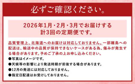 【3回定期便】【先行予約】大粒 あまおう 等級DX 総重量 約3,360g いちご 苺 果物 フルーツ 【2026年1月上旬～3月下旬迄順次発送予定】