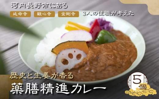 歴史と生姜が香る 薬膳精進カレー ５個 観心寺 金剛寺 延命寺 住職発案 人気レストラン 創作精進料理KU-RI 監修 肉 魚 五辛 不使用 健康 簡単調理 レトルトパック こだわりの逸品 地域特産品
