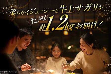 サガリ 牛 上サガリ 200g 6パック 計1.2kg