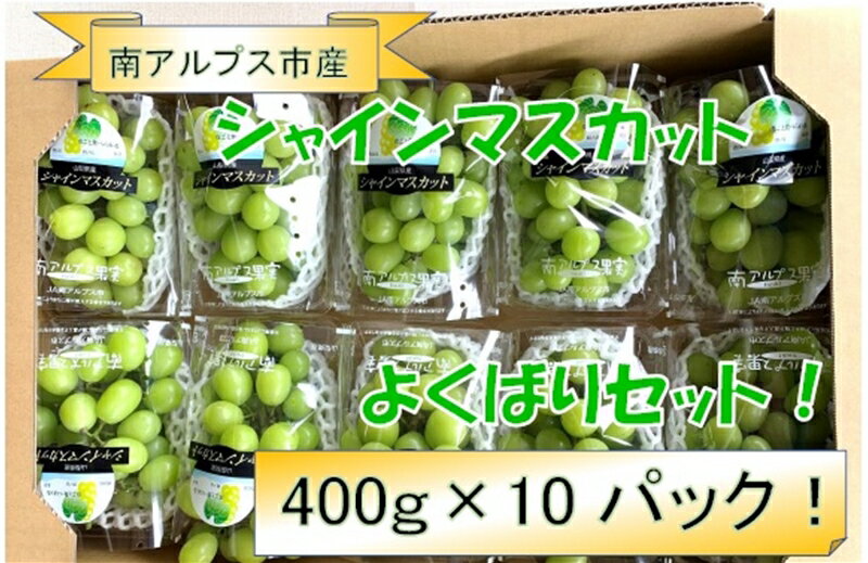 【ふるさと納税】 5-4 【令和7年発送先行予約】南アルプス市産シャインマスカットよくばり10パックセット（2L〜3L） ふるさと納税 おすすめ 山梨県 南アルプス市 送料無料 ALPAA006