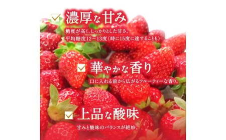 ブランド苺 新鮮 古都華 (小粒) 約1000g [250g×4パック] 【2027年1月上旬～5月下旬に順次発送】／ スマイル葛城農業 ブランド いちご 苺 ことか イチゴ スイーツ フルーツ 甘い