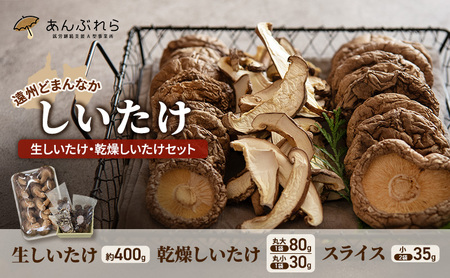 しいたけセット 生しいたけ 乾燥しいたけ 遠州どまんなか しいたけセット【生約400g 乾燥丸大80g・丸小30g スライス35g×2】