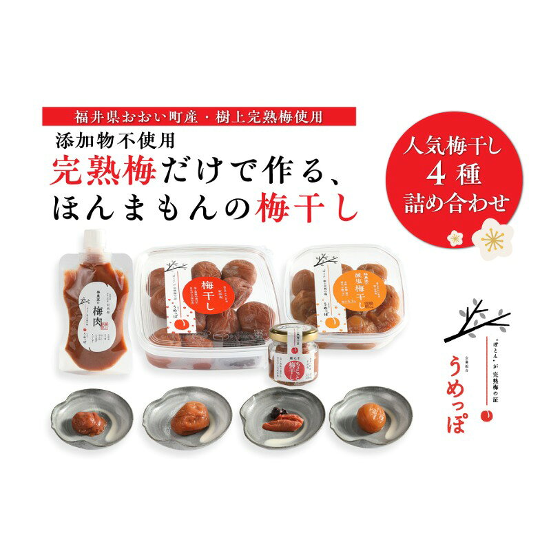 【ふるさと納税】おおい町産の希少品種の完熟梅　昔ながらの梅干　いろいろセット 紅映梅 希少品種 樹上完熟 昔ながら 梅農家が作った 手作り 福井梅 梅 梅干 梅干し うめぼし 完熟 食べ比べ セット 福井県 おおい町