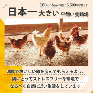 JK-05　【6ヶ月定期便】のびのび育ちの平飼い有精卵（30個×6ヶ月）