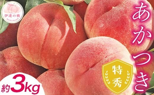 ももカテゴリランキング3位獲得！糖度12度以上 特秀 福島県産 桃 あかつき 約3kg 内容量が選べる 透過式光センサー選別 2026年出荷分先行予約 数量限定 期間限定 白桃 もも モモ 果物 くだもの フルーツ F20C-278