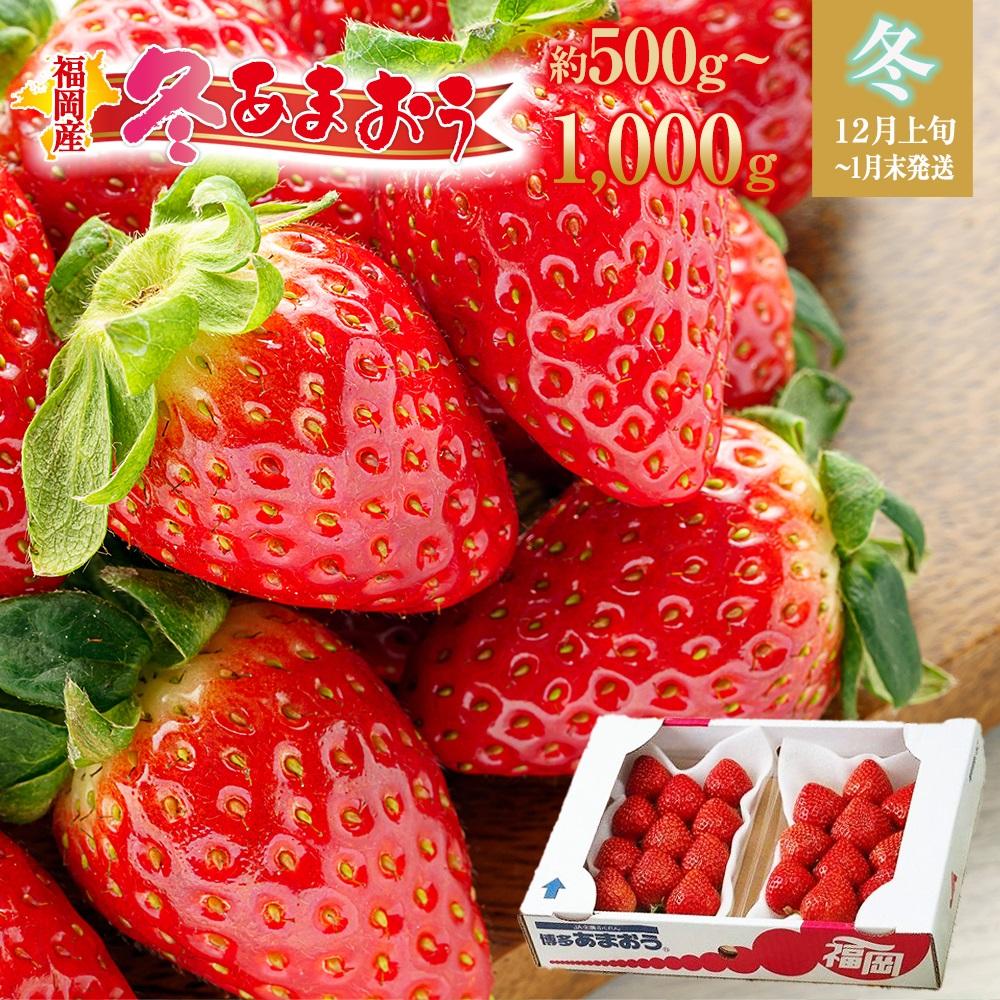 【ふるさと納税】＜内容量が選べる＞【先行予約 2025年12月上旬以降発送】福岡産あまおう【冬】 | 福岡の名物苺！あかい・まるい・おおきい・うまい「あまおう」！苺 いちご フルーツ 果物 くだもの 食品 人気 おすすめ 送料無料