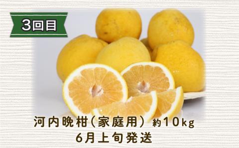 みかん定期便 全3回 早生みかん 10kg 屋根かけ 愛果28号 5kg 河内晩柑 10kg お楽しみ セット 陽だまりミカン 家庭用 柑橘定期便 蜜柑定期便 甘い 果物 フルーツ 柑橘 蜜柑 みかん