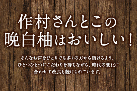 作村果樹園の晩白柚 1玉(2Lサイズ) 《12月下旬-1月末頃出荷》果物 フルーツ ザボン 熊本 特産品