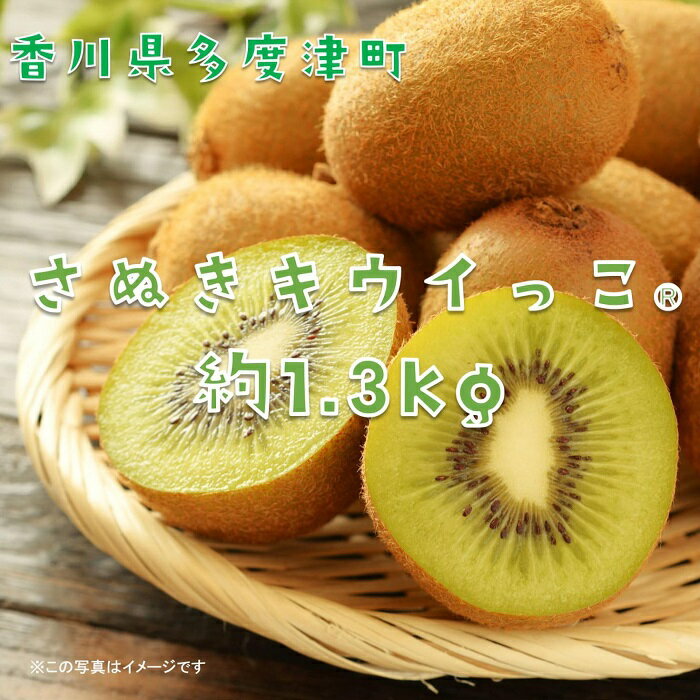 【ふるさと納税】香川県オリジナルキウイフルーツ「さぬきキウイっこ&#174;」1.3kg【予約受付中！令和7年11月上旬頃から】〔提供：株式会社ことひら街道〕しあわせ製麺 甘い 小さい 一口サイズ ゼリーみたい 期間限定