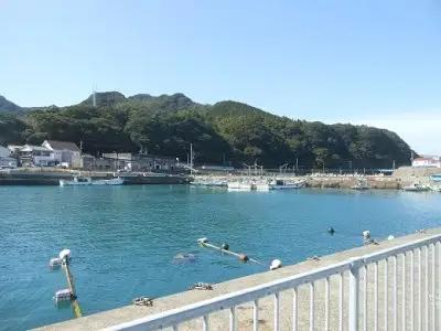 10月中旬以降発送 天然 伊勢海老１kg（サイズおまかせ高知県産）※着日指定不可※エビ 甲殻類 海鮮BBQ アウトドア キャンプ お祝い【R01671】