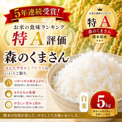 ふるさと納税 玉名市 【熊本県産】 森のくまさん　白米　5kg